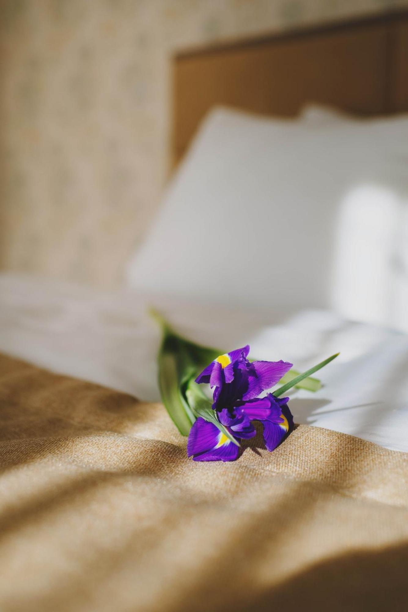 Hotel Alkor Truskavets Room photo